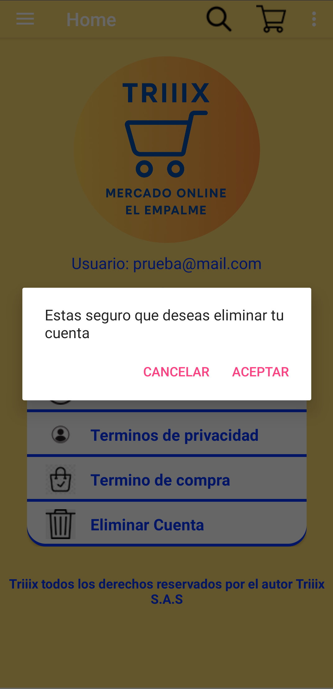 Paso 3: Confirmar eliminación definitiva